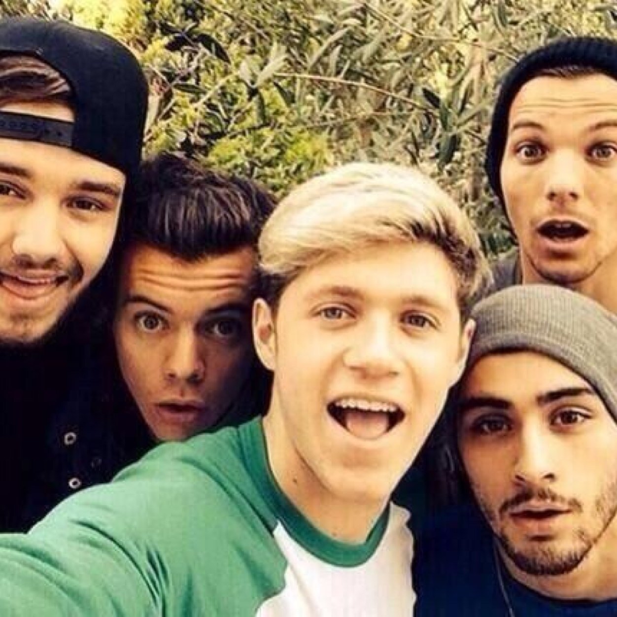 I love one direction and follow if you do to :)