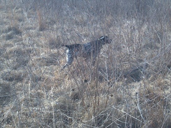 LukeIdeus's profile picture. 