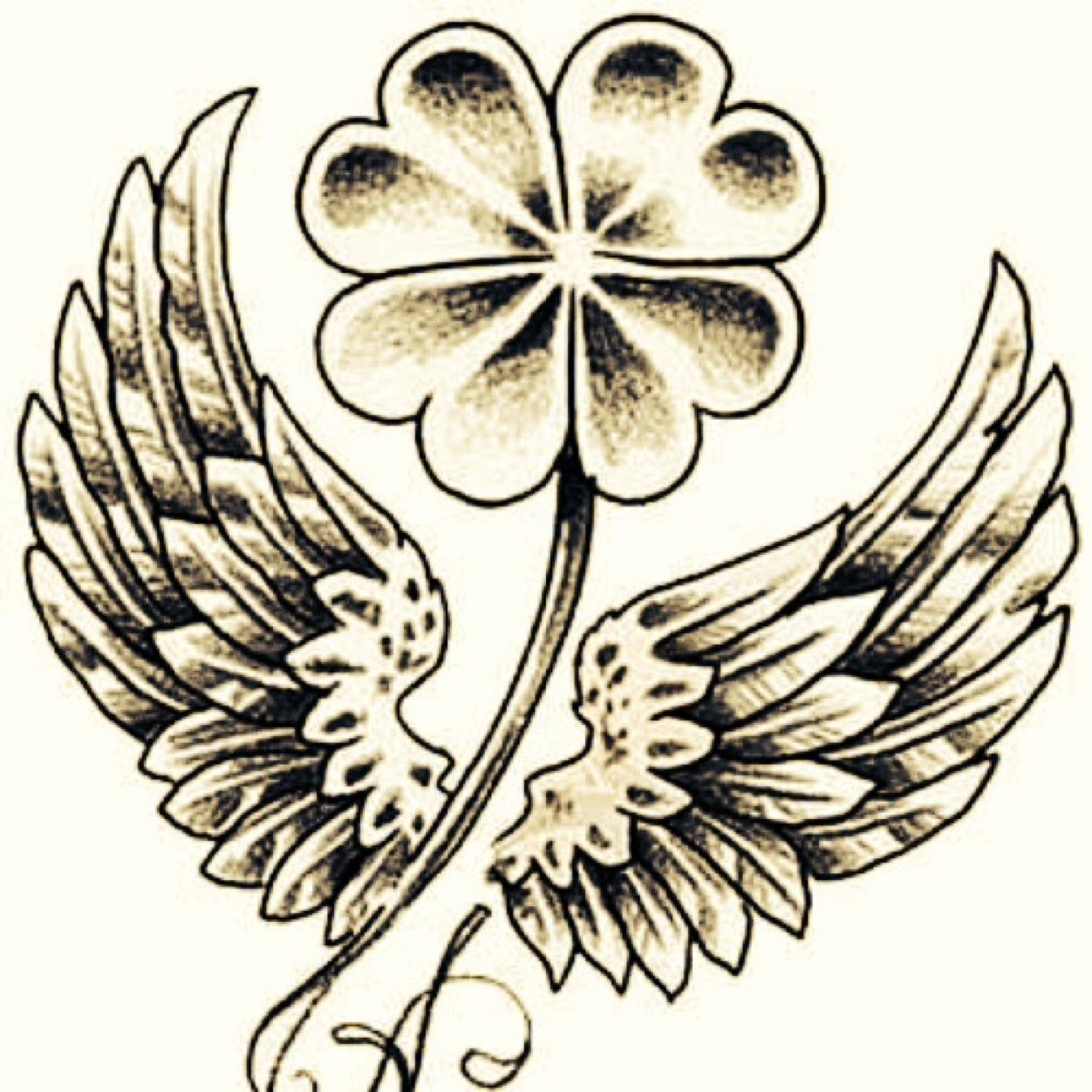 tuffguydj30's profile picture. Last seen @ (40.7415772, -73.548266) via https://t.co/f5G0lNj5OU