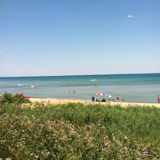 GrammieLex's profile picture. 