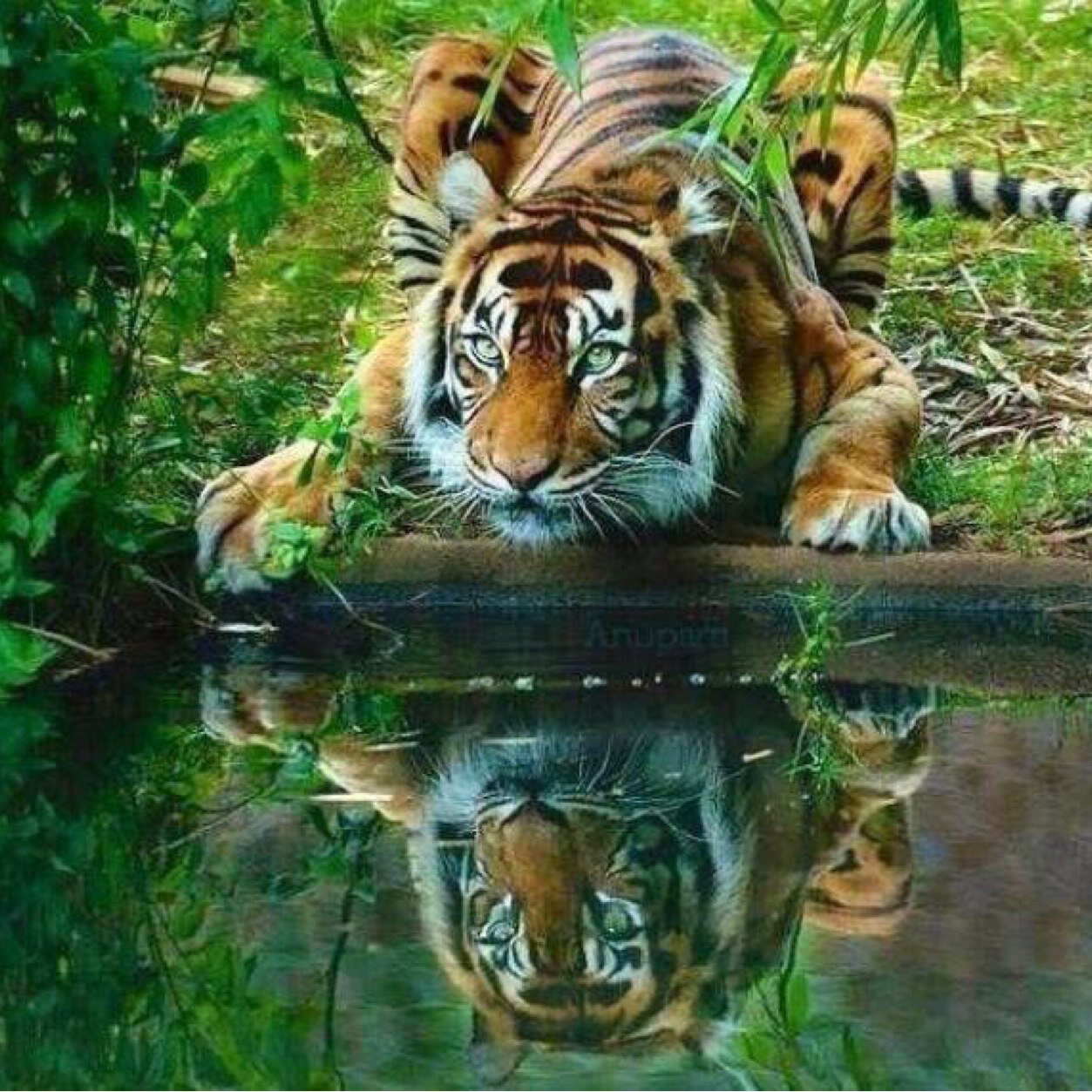 TeamUG_BBA's profile picture. ..Speak Out Loud & Proud in Support of Uganda & anything Ugandan. The Pearl Of Africa!