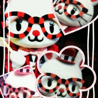 花弥 (@kaya_siec) 's Twitter Profile Photo