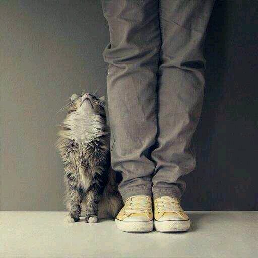  Jika sempurna yang kau cari ,maaf .. Itu bukan aku 