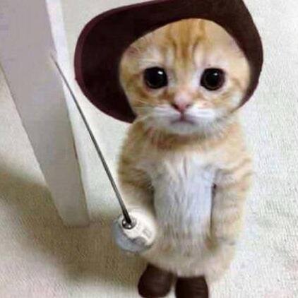 SeedEve's profile picture. 