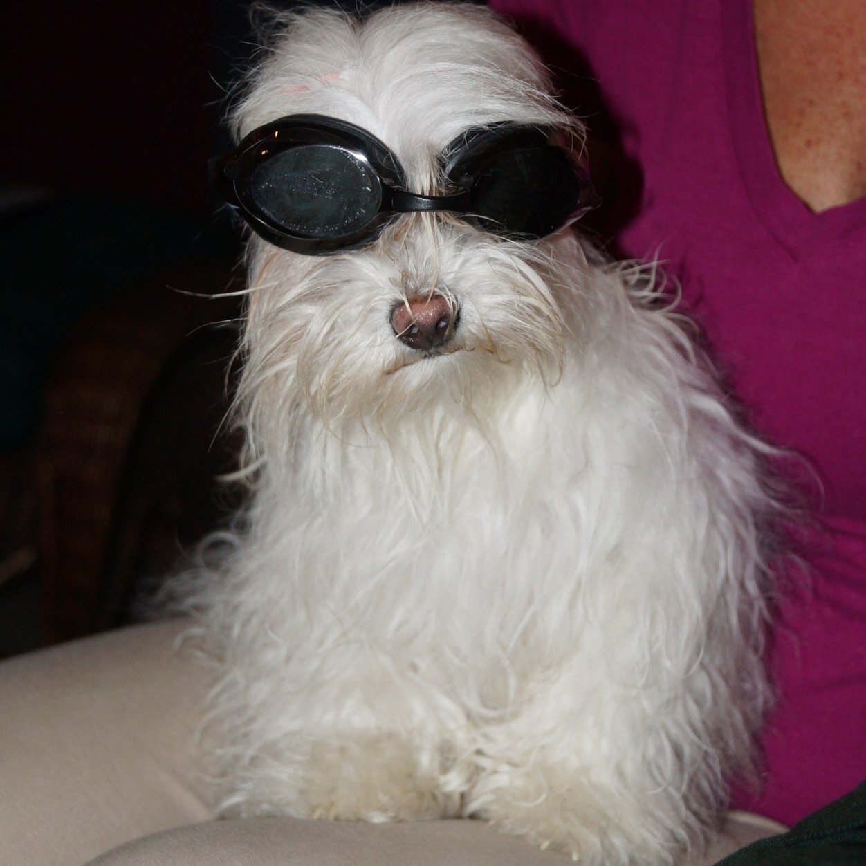 kellyezagury's profile picture. 