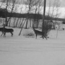 Evelyn locklear - @yasgaredward - Twitter