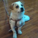 Eric Yim - @yim_eric - Twitter