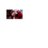 684346's profile image