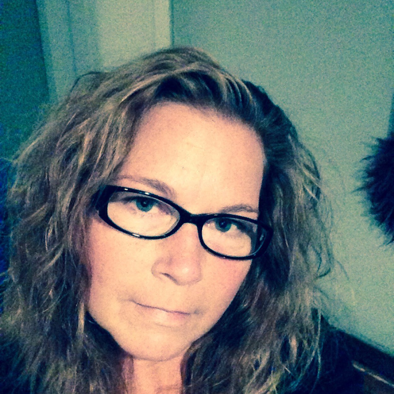 bunnywalk04's profile picture. 