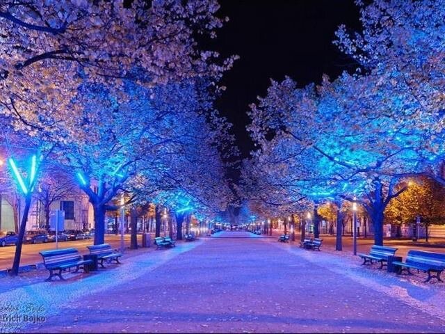 nimranaz1150's profile picture. 