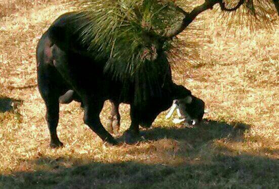 theriverband's profile picture. 