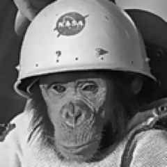 Humanoid History Profile