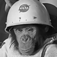 Humanoid History(@HumanoidHistory) 's Twitter Profile Photo