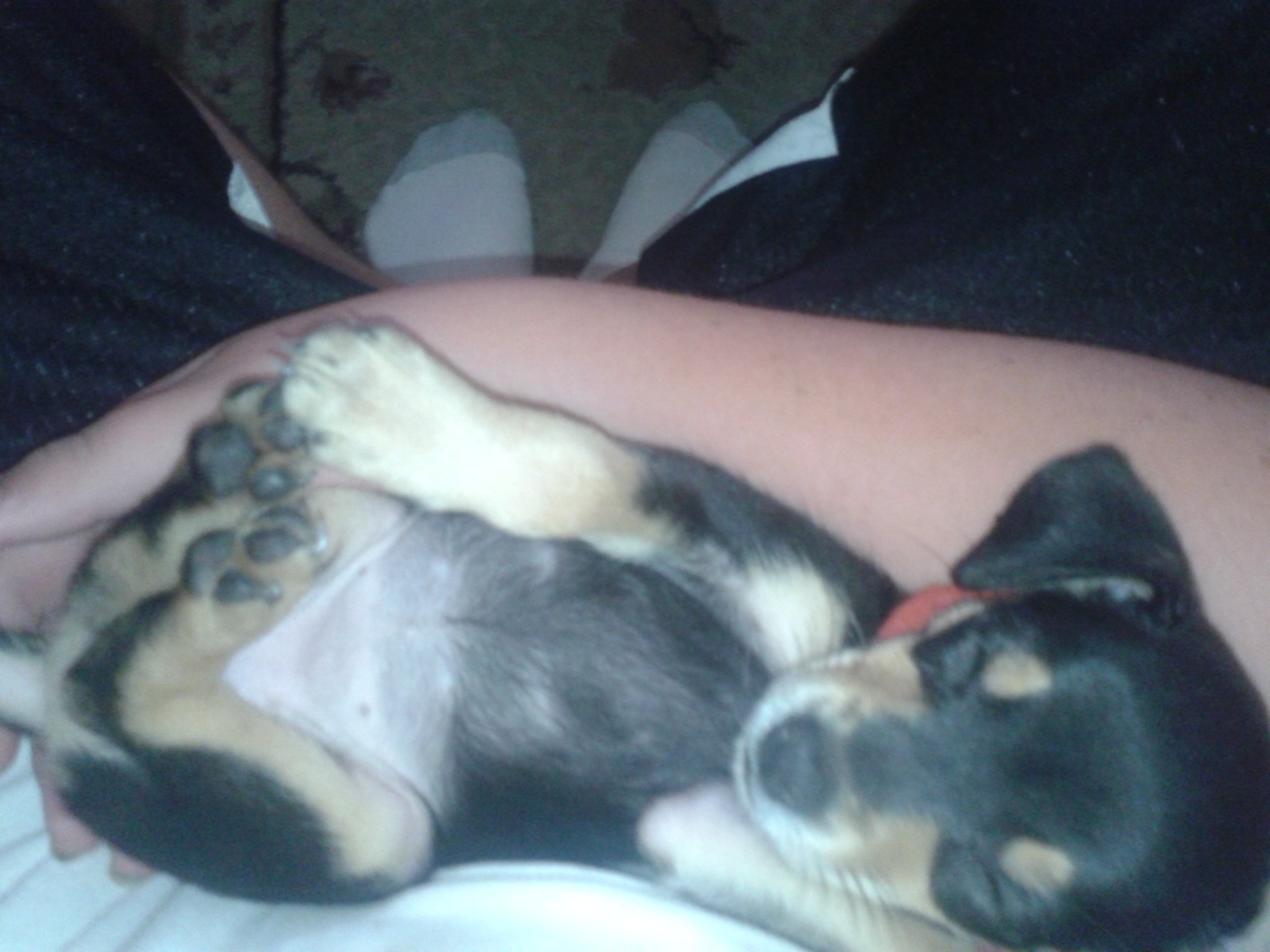 codyallencaudil's profile picture. 