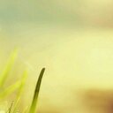 이재일 - @LeeJaeDan - Twitter