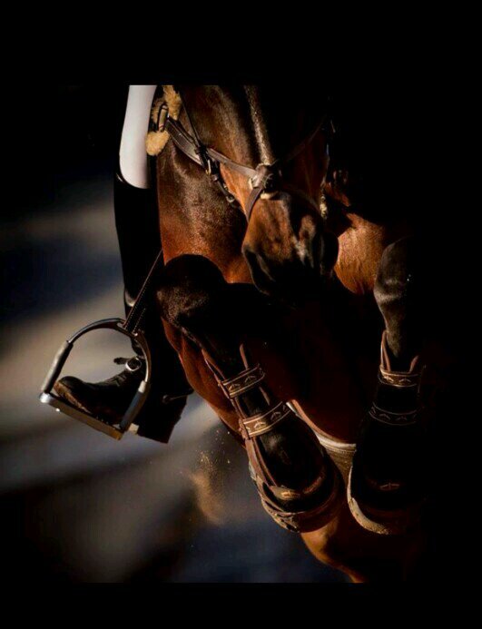 If you're dating an equestrian, raise your glass. If you're not, raise your standards.                               Zone 4