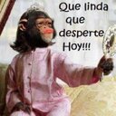 laura (@5827Laura) Twitter