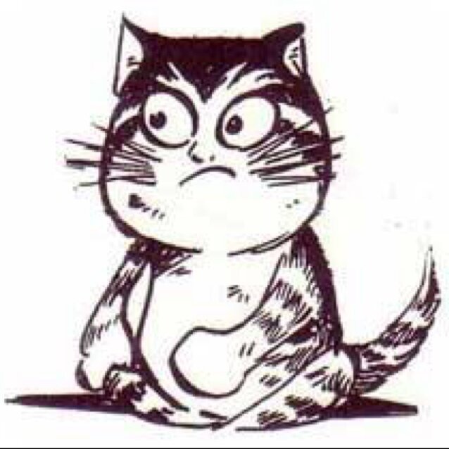 dahhhyama's profile picture. stylist