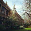 Freda Lee - @Baoniao1016Lee - Twitter