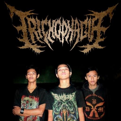 TRICHOPHAGIA's profile picture. Rheza Indarwansyah (@RhezaindarW_) | Nuril Anwar(@NURIL_DM) | Winardi Putra Pratama |@MilitanSelatan | More Info : 085640777028 / 21a25911