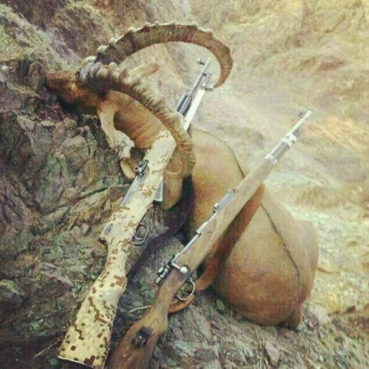 ربي رضاك والجنه والجنه والجنه