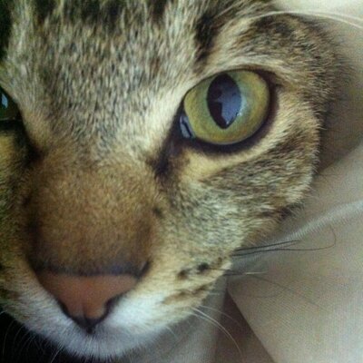 Tweets with replies by Sexyoung (@sexyoung1985) | Twitter