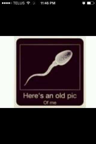 mrjesseyjames's profile picture. Just a dude growing up do be an awesomer dude.