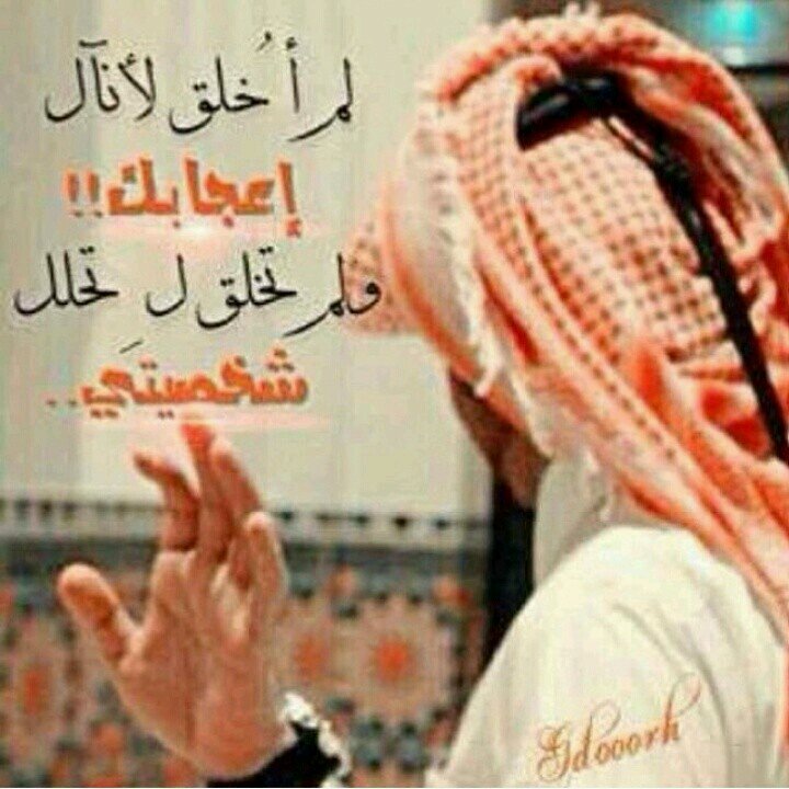 شعر/سياسة /اداب/دين