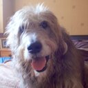 Donna Beveridge - @DHBeveridge - Twitter