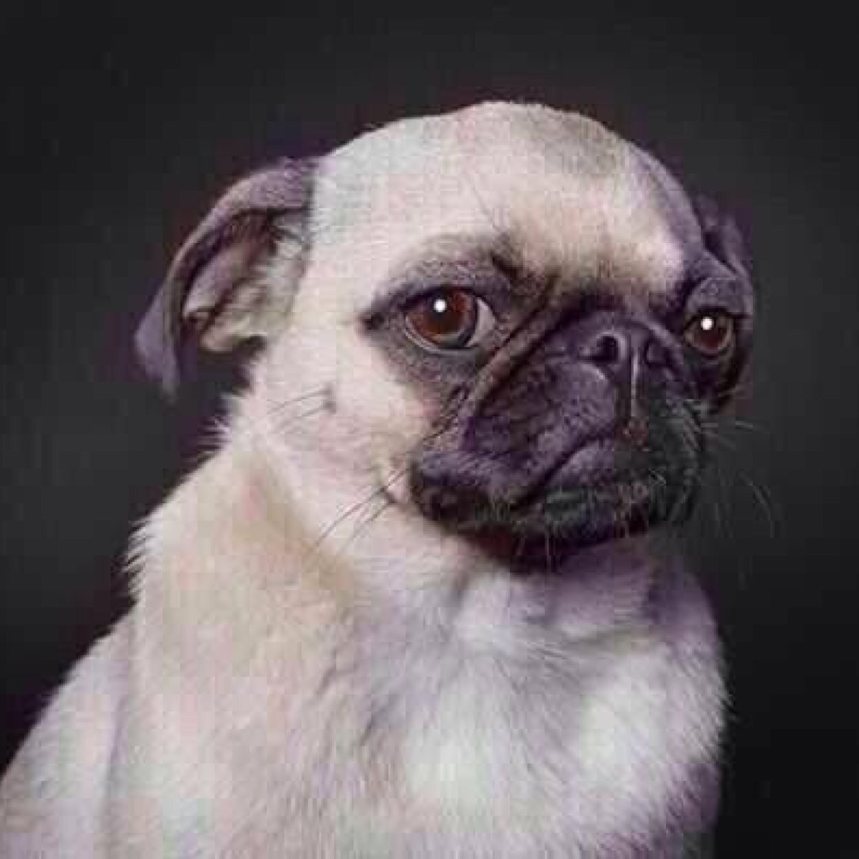 alesoyunhereje's profile picture. 