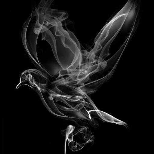 Rocktang52's profile picture. This is Lucky.^_^ E cigs wholesaler from SIGELEI.           skype:lucky_sigelei.And email:luckyjiang25@gmail.com