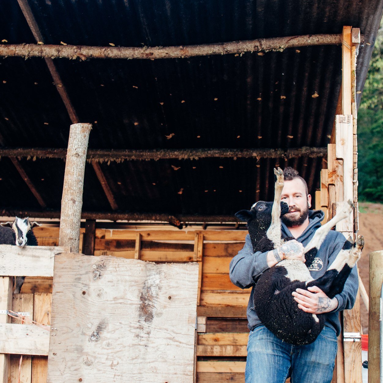 jgserlin's profile picture. Out here in the great PNW. Spendin time with animals and vegetables.