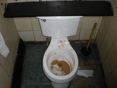 dassdags's profile picture. På ett dass nära dig