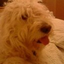 David liddle - @davidliddle31 - Twitter