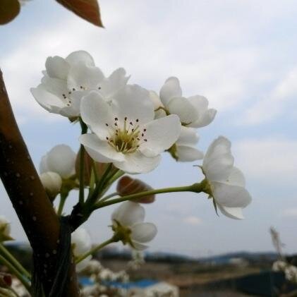 신학과 심리학을 전공하고 철학과 문화에 관심많은 ^^
판타지 팬 몽상가 
/ My major is theology and psychology, optimist, dreamer,