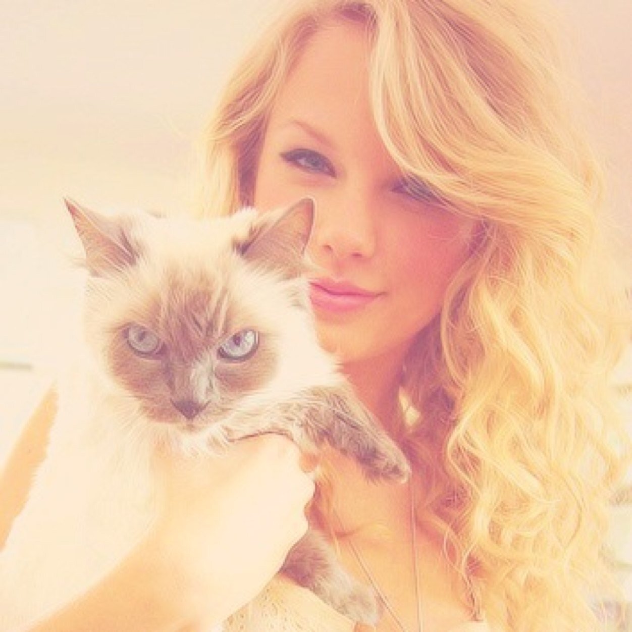 i call taylor perfect but thats really an understatement