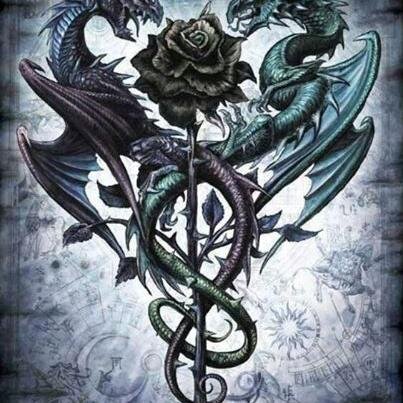 jbutterfly1's profile picture. 