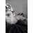blake_currey's profile image