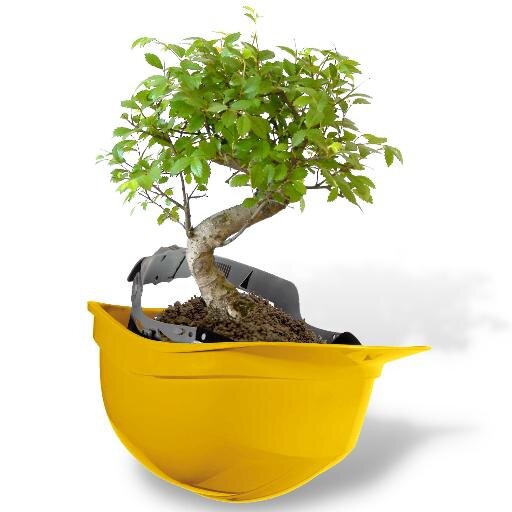 STMastromauro's profile picture. Studio tecnico di consulenza in materia di sicurezza sul lavoro, ambiente ed HACCP