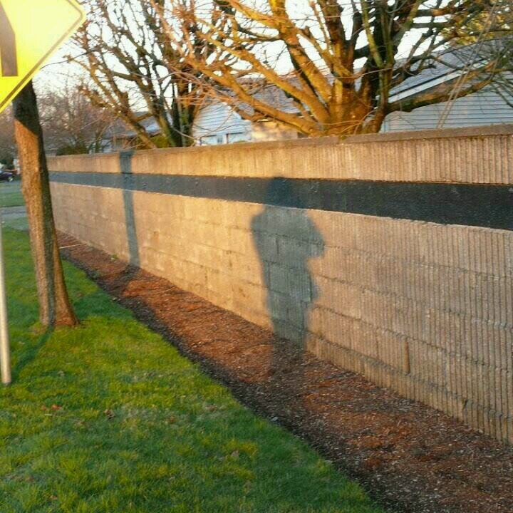 dungeongramps's profile picture. 