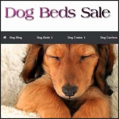 DogBedsSale's profile picture. I’m Rachel, a photographer, blogger, dog lover and dreamer. Blogging about dog beds, dog crates, dog carriers, becoming a dog groomer and much more!