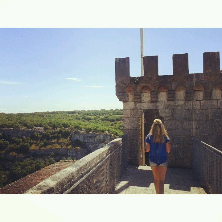 loesbolhuis's profile picture. 