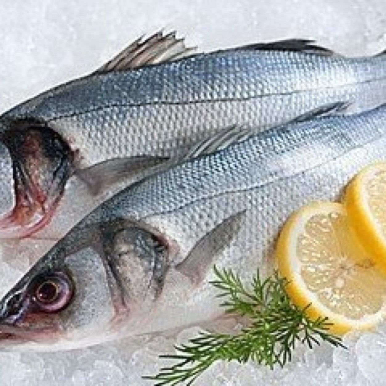 Local fish caught by local fishermen of Mersea Island