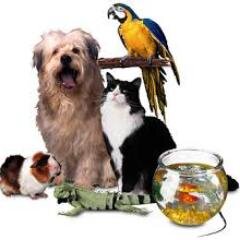 Lover of all animals, especially my own pets! #animallover #petlover #pets #animals