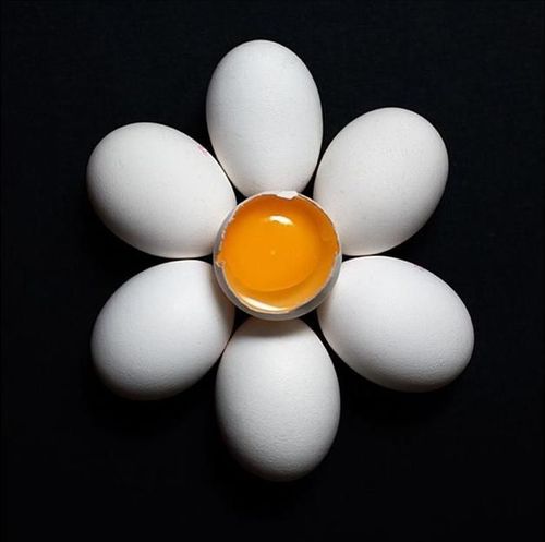 kamiaka's profile picture. 