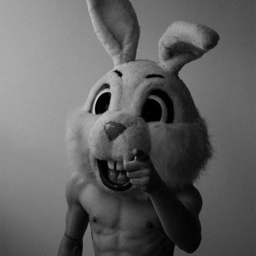 Wh1t3wabb1t73's profile picture. 