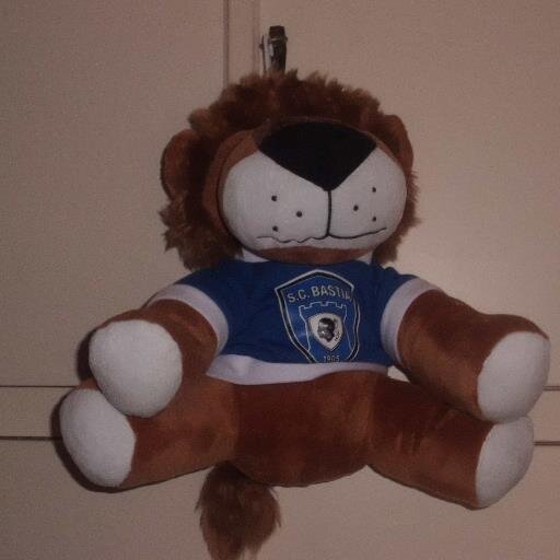 tutti uniti vinceremu forza turchini forza bastia pe l eternu