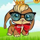 Jazz Puppy (@57c24b717003429) Twitter