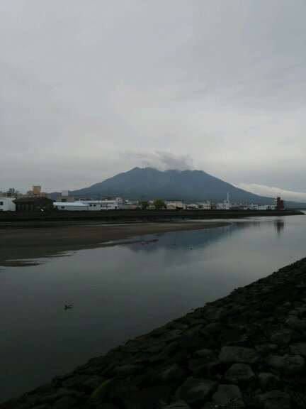 春から鹿児島大学水産学部よろしく～ 鹿大の人見つけたい垢