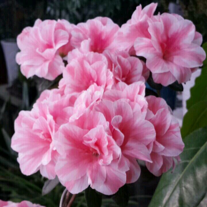 namkwang818's profile picture. 